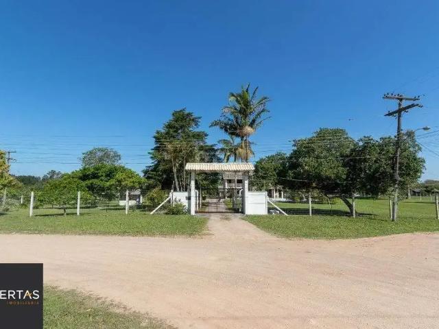 Sítio e chácara venda em Região Geográfica Imediata de Porto Alegre, Região Metropolitana de Porto Alegre