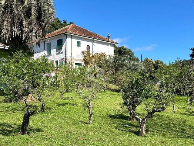 Sítio e chácara venda em Vila Nova, Porto Alegre