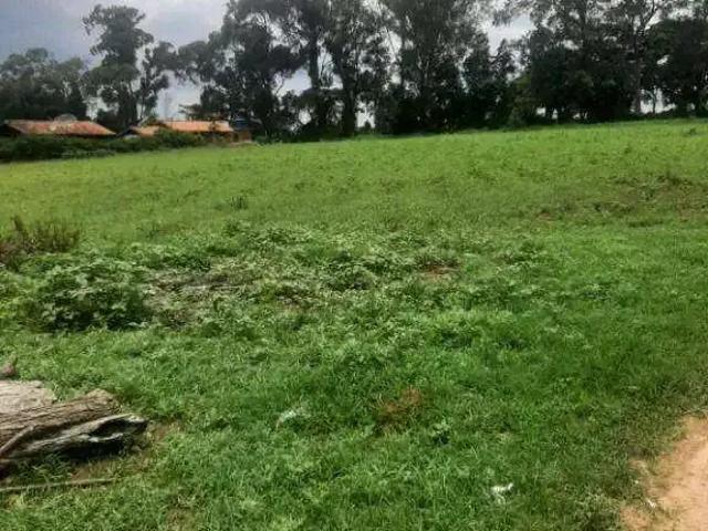 Sítio e chácara venda em Porto Feliz