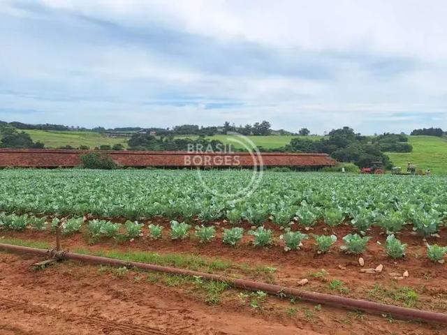 Sítio e chácara venda em Região Imediata de Sorocaba, Região Metropolitana de Sorocaba