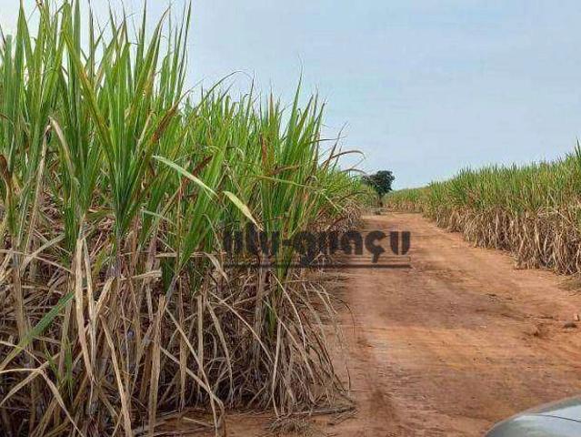 Sítio e chácara venda em Região Imediata de Sorocaba, Região Metropolitana de Sorocaba