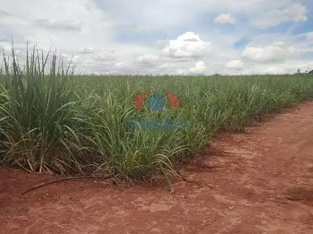 Sítio e chácara venda em Região Imediata de Sorocaba, Região Metropolitana de Sorocaba