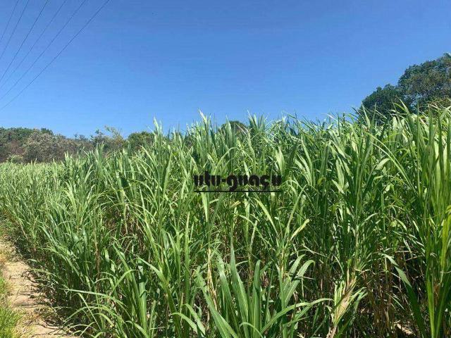 Sítio e chácara venda em Região Imediata de Sorocaba, Região Metropolitana de Sorocaba