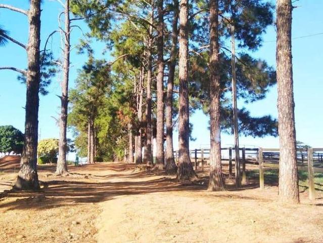 Sítio e chácara venda em Região Imediata de Sorocaba, Região Metropolitana de Sorocaba