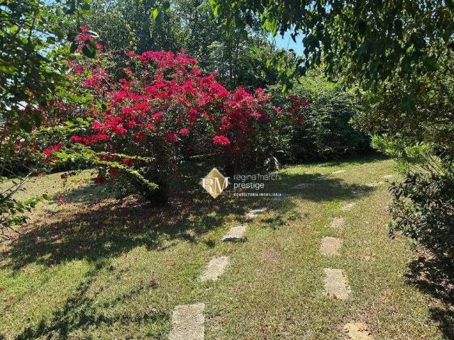 Sítio e chácara venda em Porto Feliz