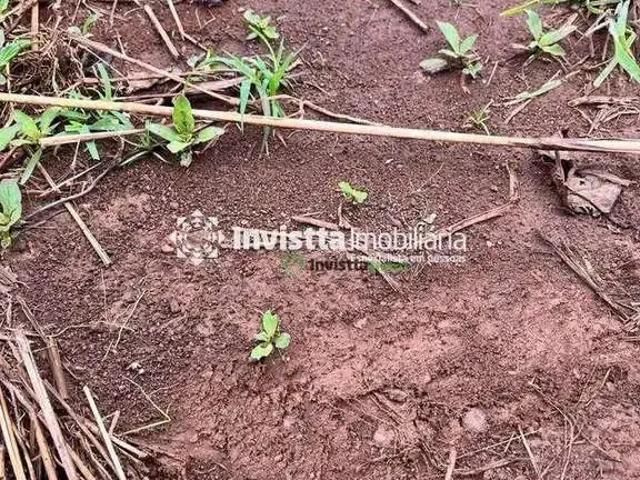 Sítio e chácara venda em Região Geográfica Imediata de Porto Nacional, Porto Nacional