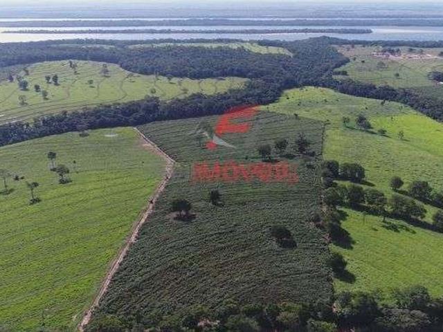 Sítio e chácara venda em Região Geográfica Imediata de Loanda, Porto Rico