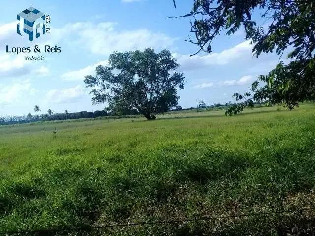 Sítio e chácara venda em Região Geográfica Imediata de Eunápolis - Porto Seguro, Porto Seguro