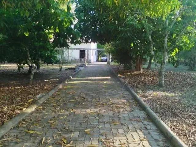 Sítio e chácara venda em Região Geográfica Imediata de Eunápolis - Porto Seguro, Porto Seguro