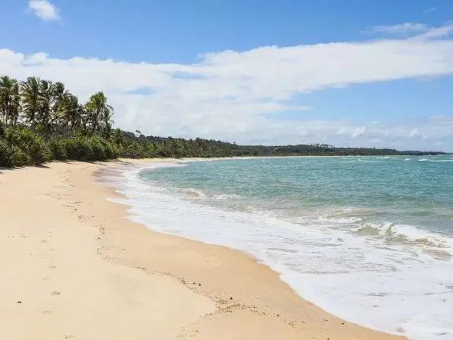 Sítio e chácara venda em Região Geográfica Imediata de Eunápolis - Porto Seguro, Porto Seguro