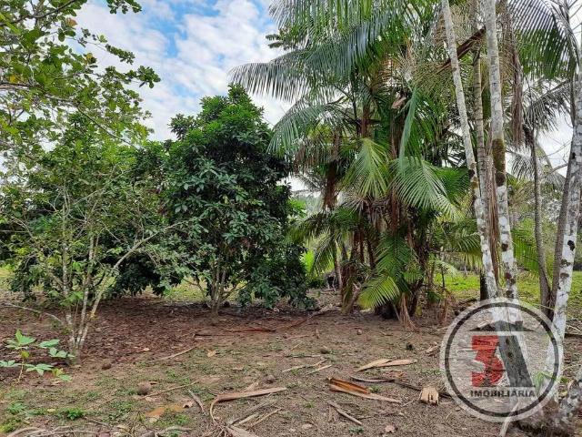 Sítio e chácara venda em Porto Velho