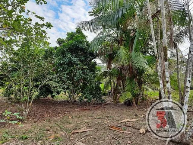 Sítio e chácara venda em Região Geográfica Imediata de Porto Velho, Porto Velho