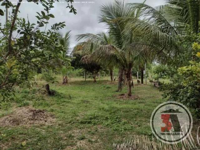Sítio e chácara venda em Região Geográfica Imediata de Porto Velho, Porto Velho