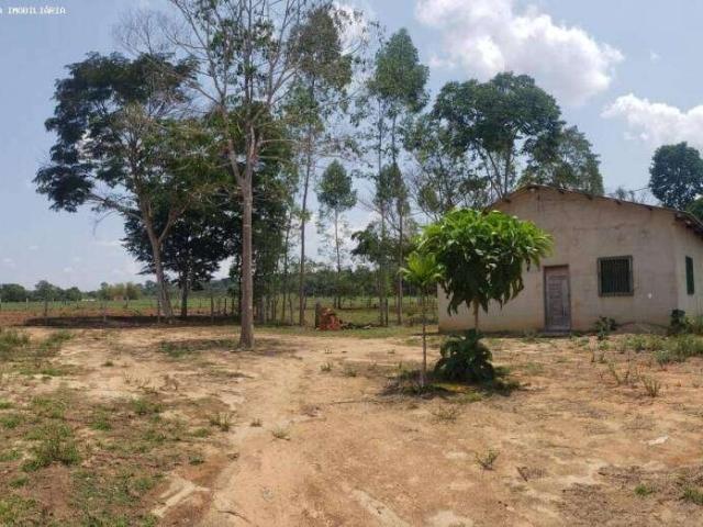 Sítio e chácara venda em Região Geográfica Imediata de Porto Velho, Porto Velho