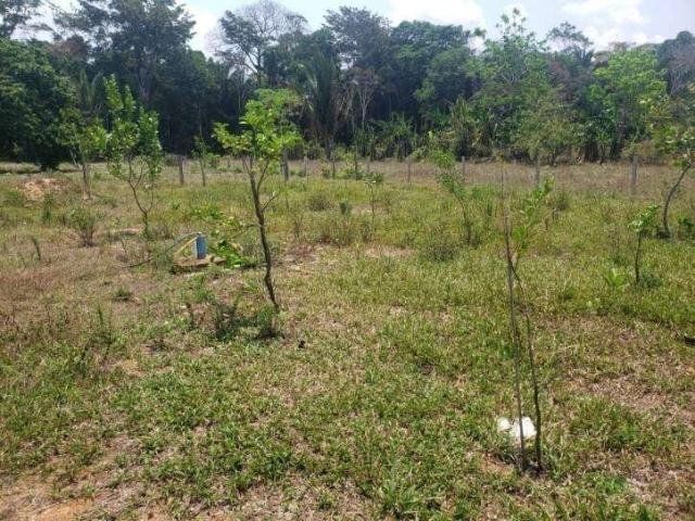 Sítio e chácara venda em Região Geográfica Imediata de Porto Velho, Porto Velho