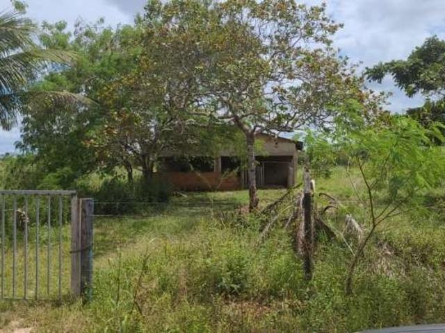Sítio e chácara venda em Região Geográfica Imediata de Porto Velho, Porto Velho