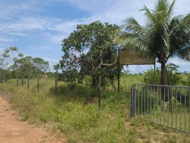 Sítio e chácara venda em Região Geográfica Imediata de Porto Velho, Porto Velho