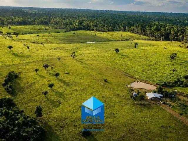 Sítio e chácara venda em Região Geográfica Imediata de Porto Velho, Porto Velho