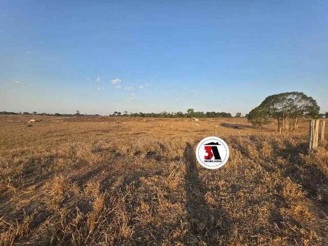 Sítio e chácara venda em Região Geográfica Imediata de Porto Velho, Porto Velho
