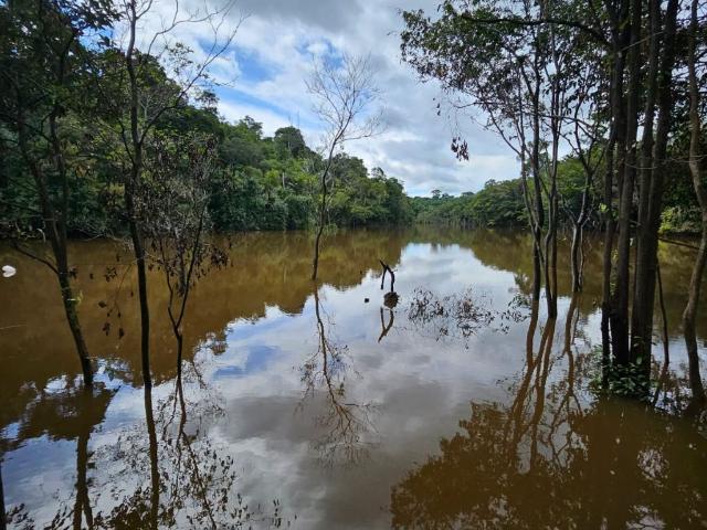 Sítio e chácara venda em Região Geográfica Imediata de Porto Velho, Porto Velho