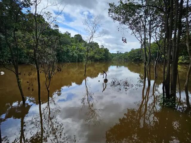 Sítio e chácara venda em Região Geográfica Imediata de Porto Velho, Porto Velho