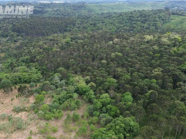 Sítio e chácara venda em Região Geográfica Imediata de União da Vitória, Porto Vitória