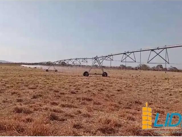 Sítio e chácara venda em Região Geográfica Imediata de Posse-Campos Belos, Posse