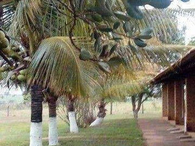Sítio e chácara venda em Região Imediata de São José do Rio Preto, Região Metropolitana de São José do Rio Preto