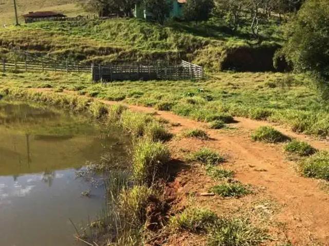 Sítio e chácara venda em São José do Pântano, Pouso Alegre