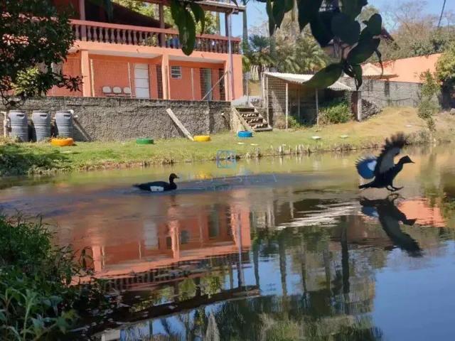 Sítio e chácara venda em Região Geográfica Imediata de Pouso Alegre, Pouso Alegre