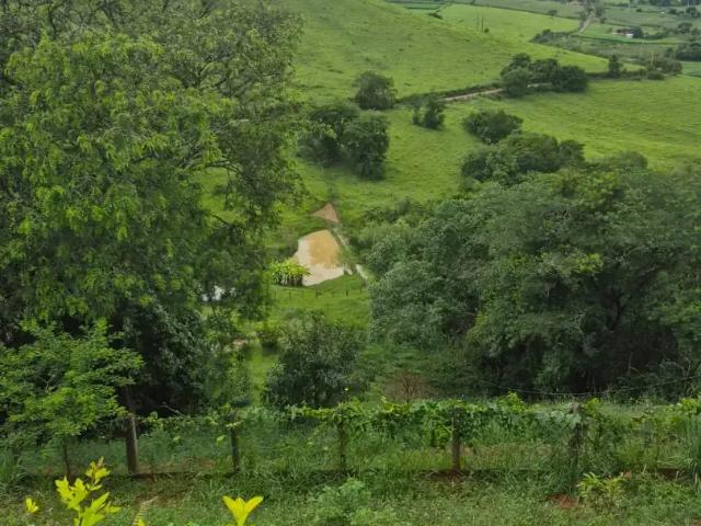 Sítio e chácara venda em Região Geográfica Imediata de Pouso Alegre, Pouso Alegre
