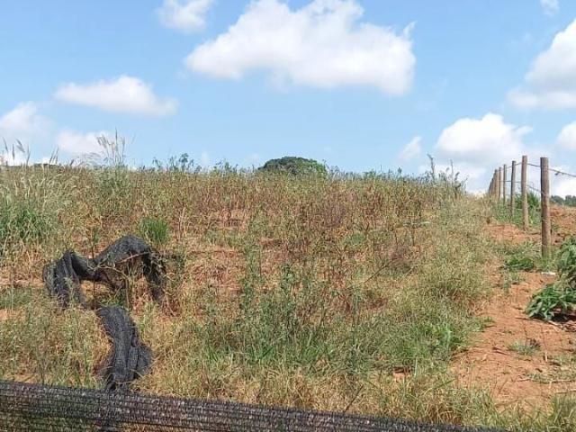 Sítio e chácara venda em Pouso Alegre, Região Geográfica Intermediária de Pouso Alegre