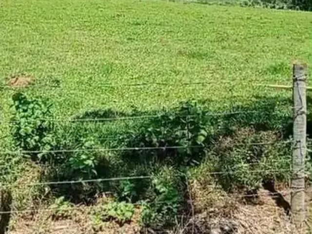 Sítio e chácara venda em Região Geográfica Imediata de Pouso Alegre, Pouso Alegre