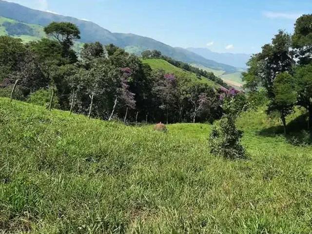 Sítio e chácara venda em Região Geográfica Imediata de São Lourenço, Pouso Alto
