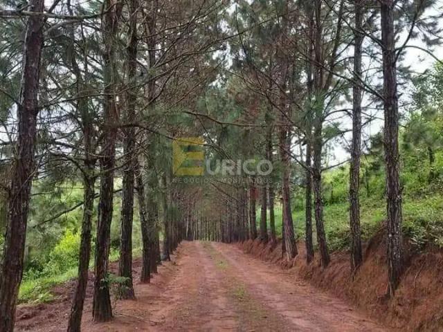 Sítio e chácara venda em Região Geográfica Imediata de São Lourenço, Pouso Alto