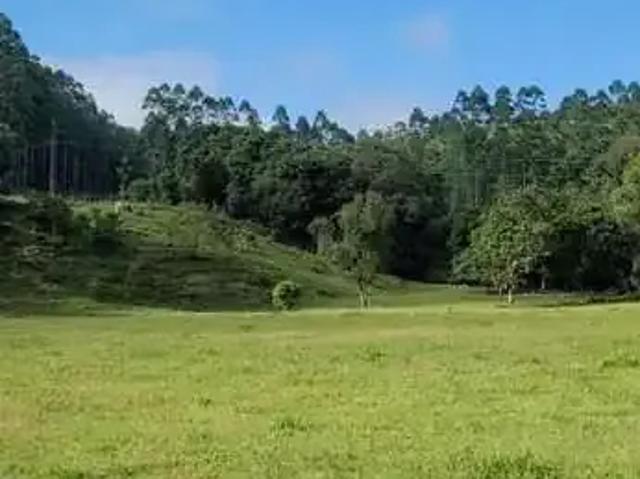 Sítio e chácara venda em Região Geográfica Imediata de Rio do Sul, Região Sul