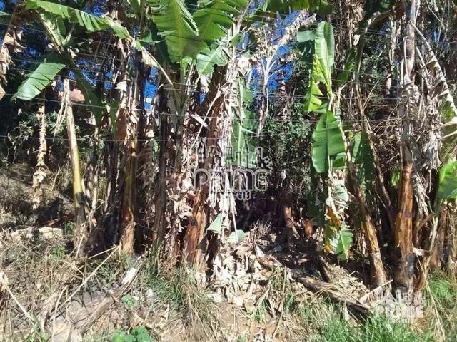 Sítio e chácara venda em Francisco Morato