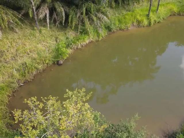Sítio e chácara venda em Região Geográfica Imediata de Uberlândia, Prata