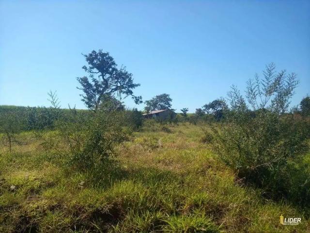 Sítio e chácara venda em Região Geográfica Imediata de Uberlândia, Prata