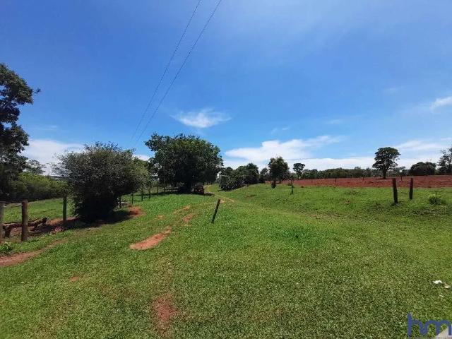 Sítio e chácara venda em Região Geográfica Imediata de Guaraí, Pequizeiro
