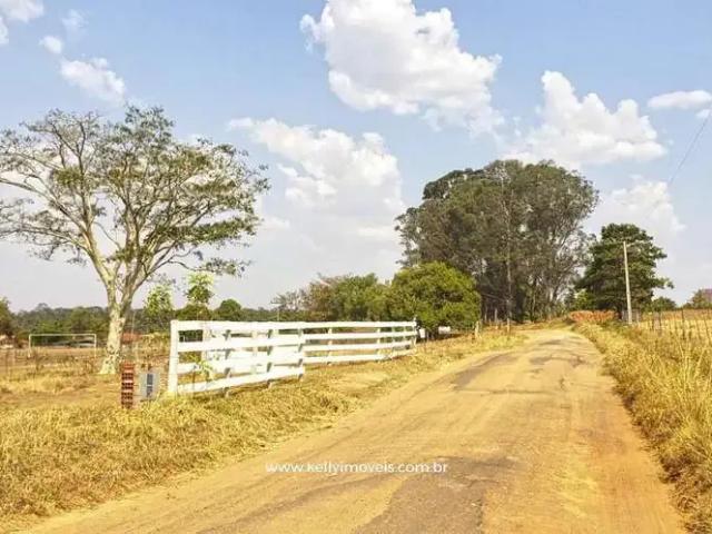 Sítio e chácara venda em Região Imediata de Presidente Prudente, Presidente Bernardes