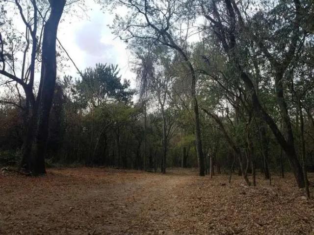 Sítio e chácara venda em Região Imediata de Araçatuba, Araçatuba