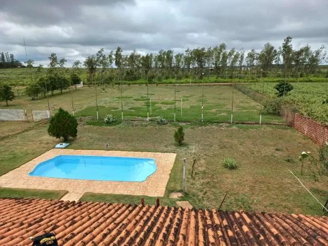 Sítio e chácara venda em Região Geográfica Imediata de Maringá, Presidente Castelo Branco