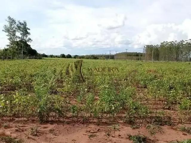 Sítio e chácara venda em Região Geográfica Imediata de Maringá, Presidente Castelo Branco
