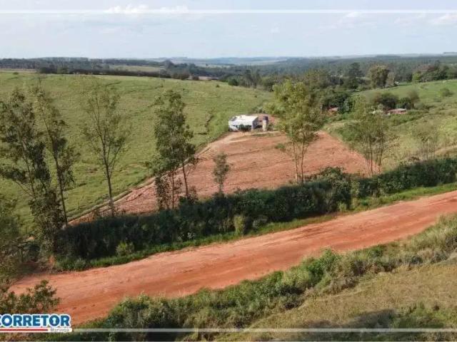 Sítio e chácara venda em Região Geográfica Imediata de Maringá, Presidente Castelo Branco