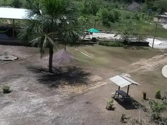 Sítio e chácara venda em Região Geográfica Imediata de Manaus, Presidente Figueiredo