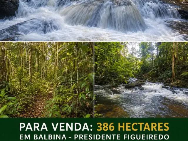 Sítio e chácara venda em Região Geográfica Imediata de Manaus, Presidente Figueiredo
