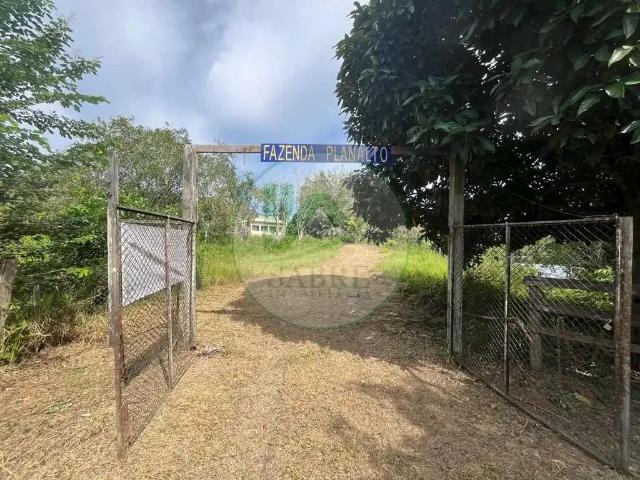 Sítio e chácara venda em Região Geográfica Imediata de Manaus, Presidente Figueiredo