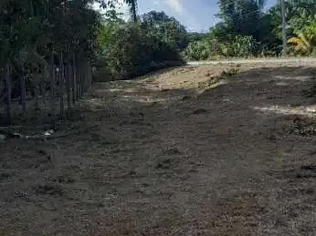 Sítio e chácara venda em Região Geográfica Imediata de Manaus, Presidente Figueiredo