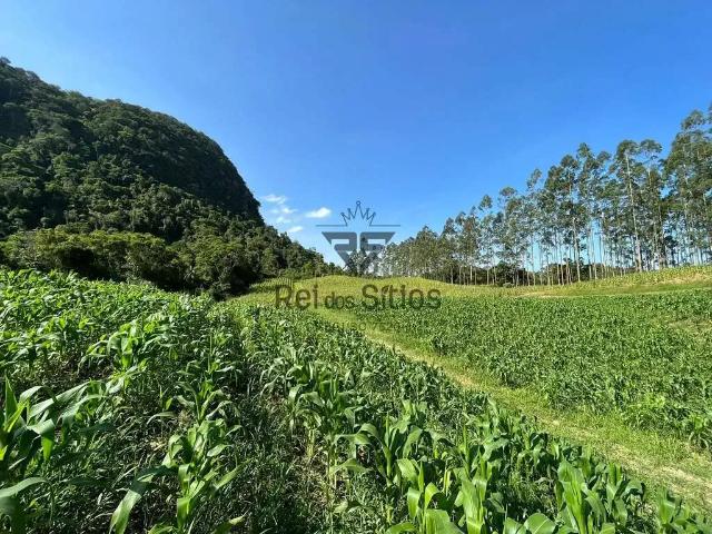 Sítio e chácara venda em Região Geográfica Imediata de Ibirama-Presidente Getúlio, Presidente Getúlio